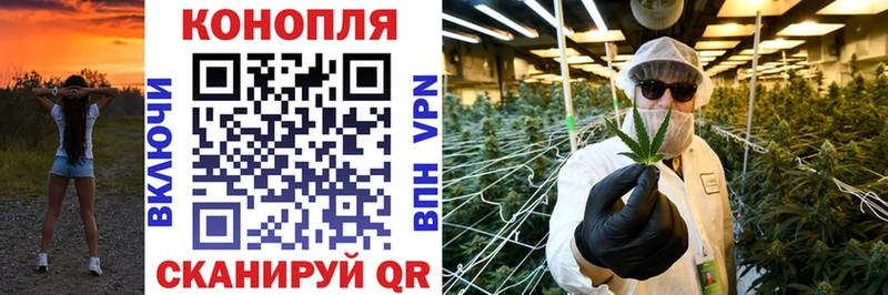 Купить Калтан Шишки марихуана Ganja